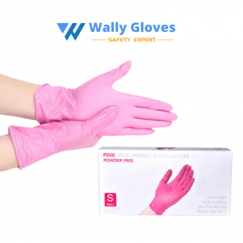 Disposable Vinyl/Nitrile Gloves