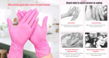 Disposable Vinyl/Nitrile Gloves