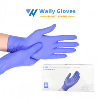 Disposable Vinyl/Nitrile Gloves