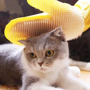 Cleaning Latex Gloves
